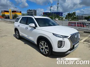 Hyundai Palisade, 2019 — миниатюра 2