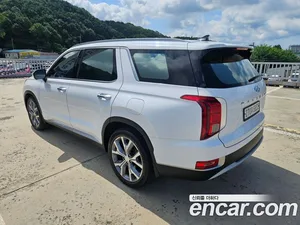 Hyundai Palisade, 2019 — миниатюра 4