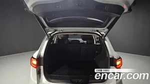 Renault QM6, 2019 — миниатюра 26
