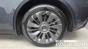 Tesla Model Y, 2022 — миниатюра 7