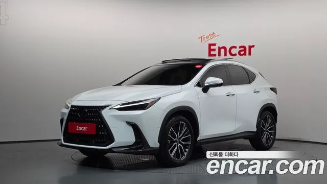 Lexus NX, 2026 — фото автомобиля из Кореи