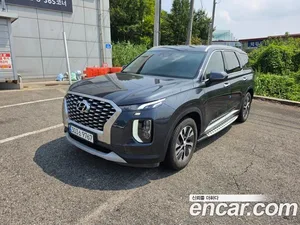 Hyundai Palisade, 2020 — миниатюра 1