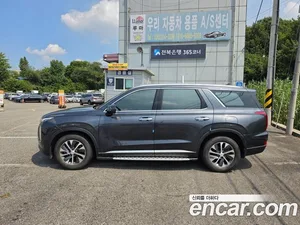 Hyundai Palisade, 2020 — миниатюра 15