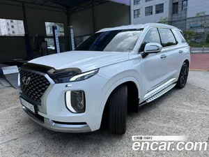 Hyundai Palisade, 2020 — миниатюра 1