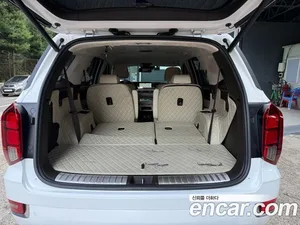 Hyundai Palisade, 2020 — миниатюра 19