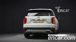 Hyundai Palisade, 2019 — миниатюра 4
