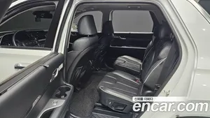 Hyundai Palisade, 2019 — миниатюра 13