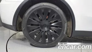 Tesla Model Y, 2021 — миниатюра 5