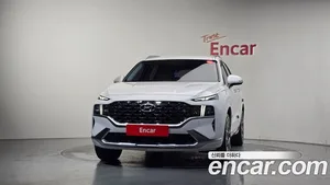 Hyundai Santa Fe, 2020 — миниатюра 3