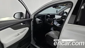 Hyundai Santa Fe, 2020 — миниатюра 13