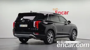 Hyundai Palisade, 2020 — миниатюра 2