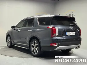 Hyundai Palisade, 2019 — миниатюра 4