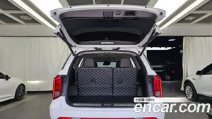 Hyundai Palisade, 2023 — миниатюра 26