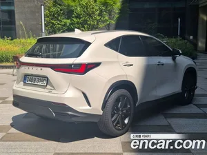 Lexus NX, 2025 — миниатюра 2