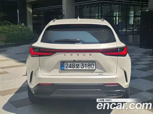 Lexus NX, 2025 — миниатюра 4