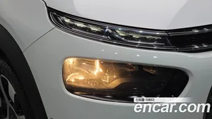 Citroen-DS C4 CACTUS, 2019 — миниатюра 8