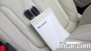 Hyundai Palisade, 2020 — миниатюра 30