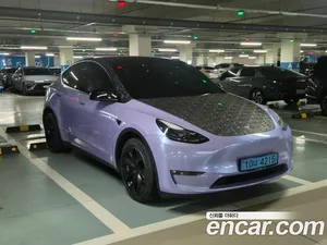 Tesla Model Y, 2021 — миниатюра 1