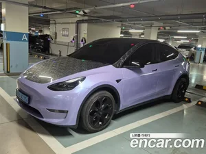 Tesla Model Y, 2021 — миниатюра 3