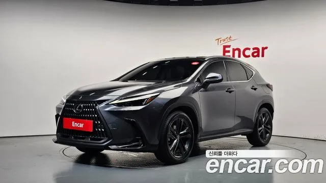 Lexus NX, 2023 — фото автомобиля из Кореи