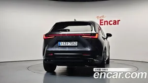Lexus NX, 2023 — миниатюра 4