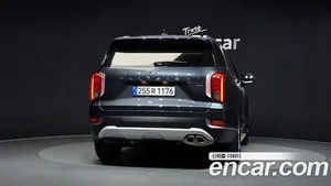Hyundai Palisade, 2019 — миниатюра 4