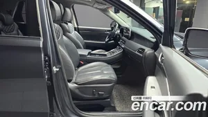 Hyundai Palisade, 2019 — миниатюра 11