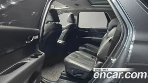 Hyundai Palisade, 2019 — миниатюра 12