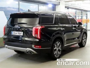 Hyundai Palisade, 2020 — миниатюра 2