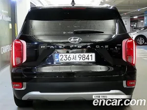 Hyundai Palisade, 2020 — миниатюра 4