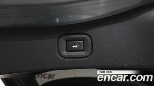 Renault QM6, 2019 — миниатюра 31