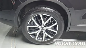 Renault QM6, 2019 — миниатюра 5