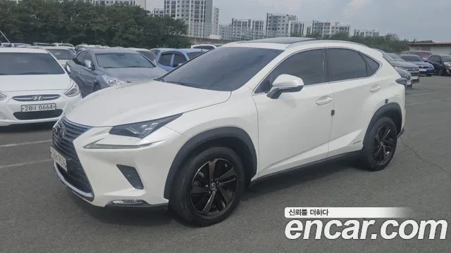 Lexus NX, 2021 — фото автомобиля из Кореи