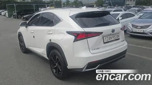 Lexus NX, 2021 — миниатюра 2