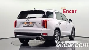 Hyundai Palisade, 2020 — миниатюра 1