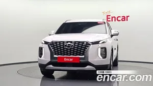 Hyundai Palisade, 2020 — миниатюра 2