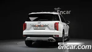 Hyundai Palisade, 2019 — миниатюра 4