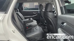 Hyundai Santa Fe, 2020 — миниатюра 16
