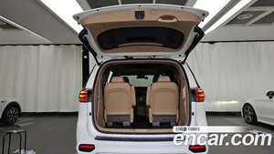 Kia Carnival, 2018 — миниатюра 26