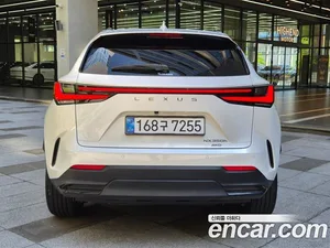 Lexus NX, 2025 — миниатюра 4
