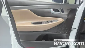 Hyundai Santa Fe, 2019 — миниатюра 14