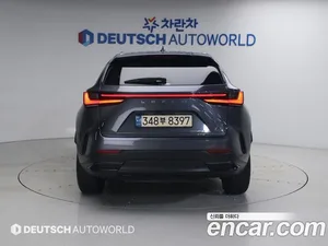 Lexus NX, 2023 — миниатюра 4