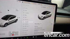 Tesla Model Y, 2021 — миниатюра 11