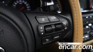 Kia Carnival, 2016 — миниатюра 28