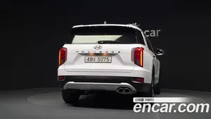 Hyundai Palisade, 2019 — миниатюра 4