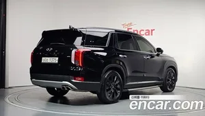 Hyundai Palisade, 2019 — миниатюра 2