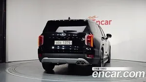 Hyundai Palisade, 2019 — миниатюра 4
