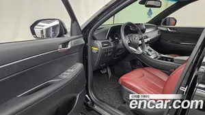 Hyundai Palisade, 2019 — миниатюра 13