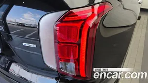 Hyundai Palisade, 2019 — миниатюра 9