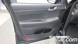 Hyundai Palisade, 2019 — миниатюра 14